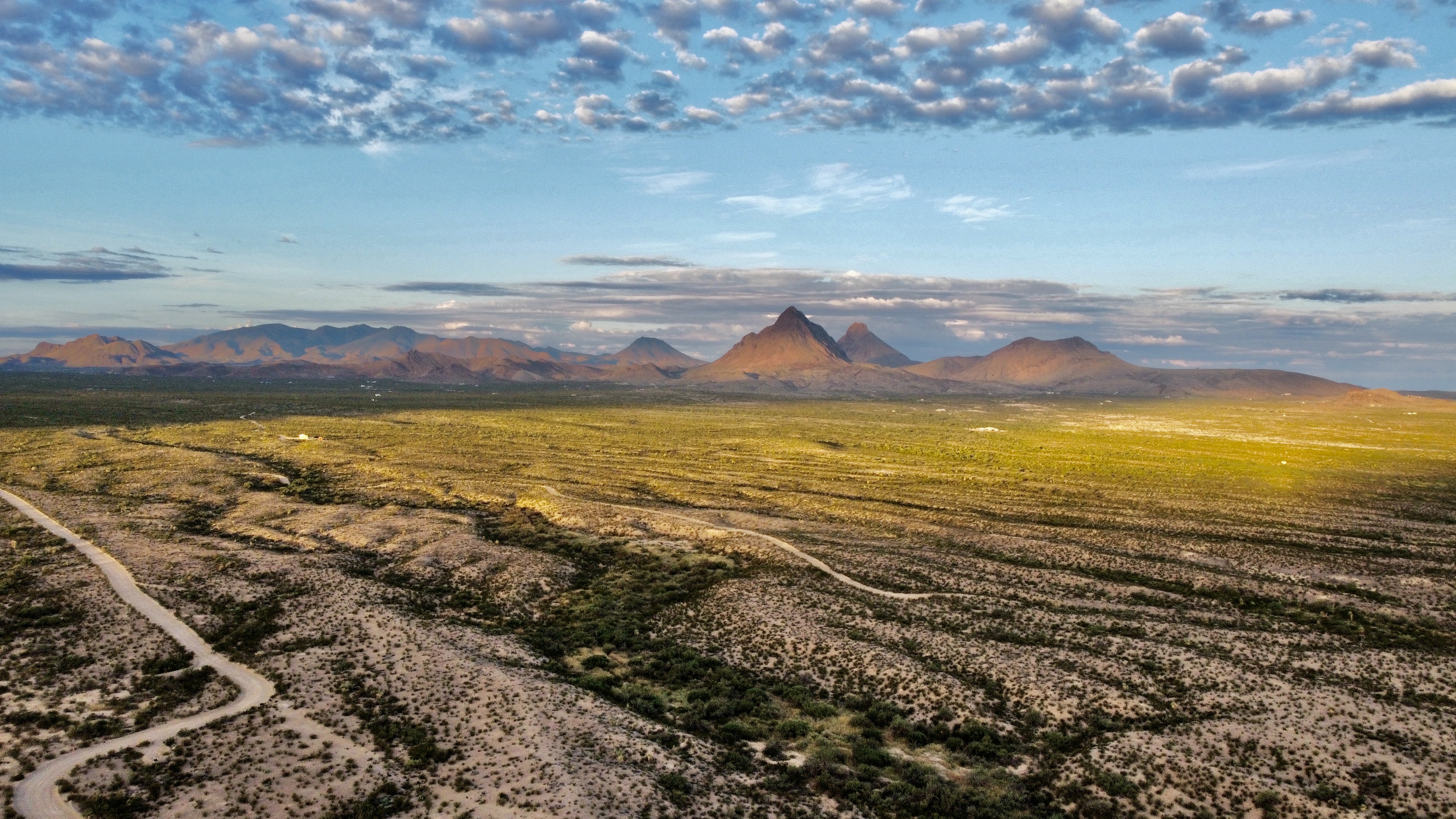 Dirt road through desert country